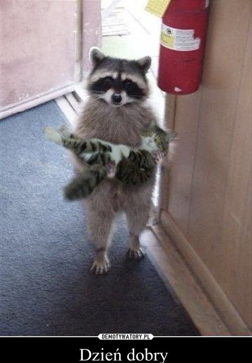 Я люблю тебя , пупсик 🫶🏼